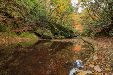 秋の岳切渓谷　大分県宇佐市　Takkiri Canyon　autumn　Ooita Usa city