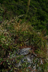 Obraz premium piedra de juluapan