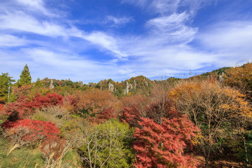 立羽田の景　耶馬渓　大分県玖珠郡　Tachihatanokei　Yabakei　Ooita Kusu-gun
