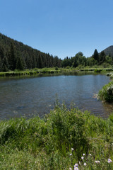Vertical of Fawn Lakes in northern New Mexico.