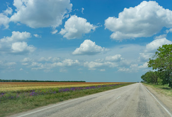Landscape with a view of the road