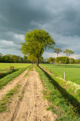 Dirt track leading through the green fields of the IJssel Valley edge with Veluwe with trees in green landscape near Loenen (The Netherlands)