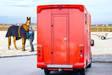 Horse transportation van , equestrian sport .Animal for riding. Young woman taking care of her...