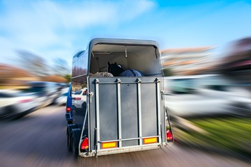  Horse transportation van , equestrian sport