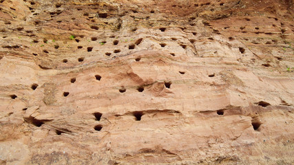 Set of nests of swifts.