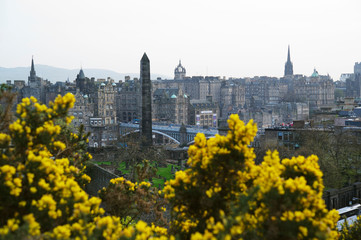 Obraz na płótnie Canvas Edinburgh skyline
