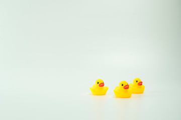 Yellow duck isolated in white background.