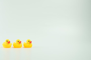 Yellow duck isolated in white background.
