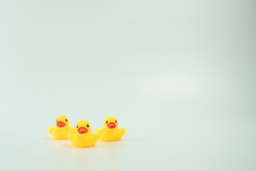 Yellow duck isolated in white background.