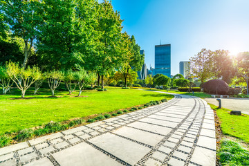 Park grass woods and city buildings skyline