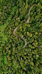Aerial curvy road through a forest 