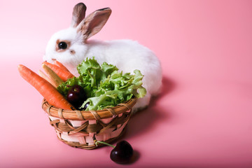 Little white rabbit, brown and black ears near the basket with a variety of fruits and vegetables on a pink background.