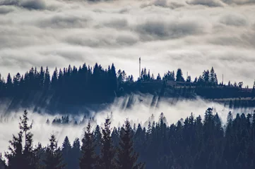 Papier Peint photo Forêt dans le brouillard Montagnes des Carpates dans les vagues de brouillard