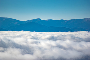 The fog envelops the forest