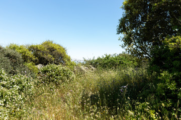 Obraz premium Villanova Monteleone Sardinien