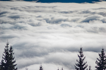 Carpathian mountains in the waves of fog