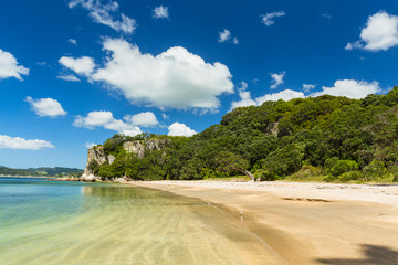 ニュージーランド　コロマンデル半島のロンリー・ベイのビーチ