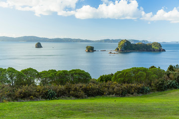 ニュージーランド　コロマンデル半島のカセドラル・コーブまでのハイキングコースからの風景