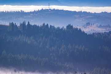 Carpathian mountains in the waves of fog