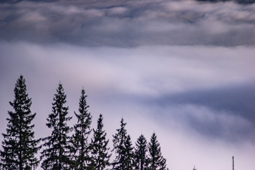 Carpathian mountains in the waves of fog