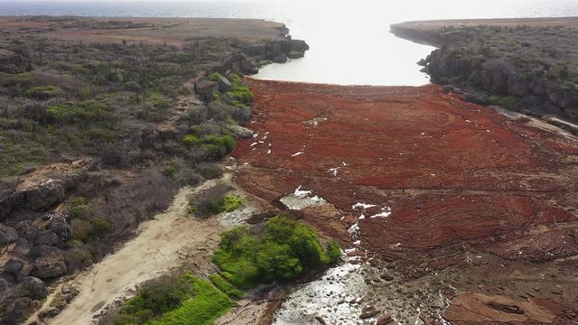 Aerial view of coast of Curaçao in the Caribbean Sea with bay full of Sargassum seaweed and plastic trash around Boka Ascension