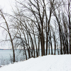 Fototapeta na wymiar Winter landscape - park in Longueuil on the shore of Saint Laurent river