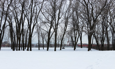 Winter landscape - park in Longueuil on the shore of  Saint Laurent river