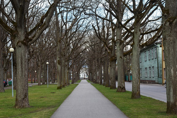 Walking alley along the side of the road in the city of Parnu, Estonia.