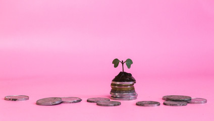 money and coins piled up and on top of it were sprouts from isolated plants on a yellow background