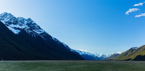 ニュージーランド　フィヨルドランド国立公園のエグンリトン・バレー　Eglinton Valley