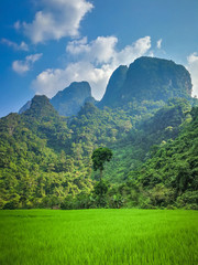Obraz premium Atmosphere of rice fields and mountains, Vang Vieng City, Vientiane Province
