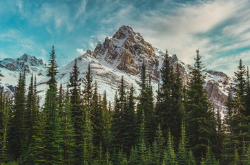 View of the Canadian Rocky mountains in Banff National Park in Alberta - obrazy, fototapety, plakaty