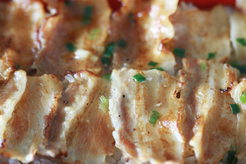 Grilled Pork Rice close up , asian Food