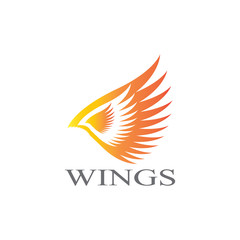 wings logo design and ilustration template.