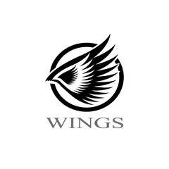 wings logo design and ilustration template.