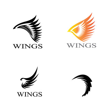 wings logo design and ilustration template.