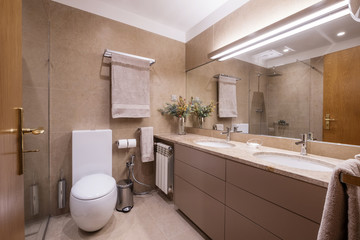 Bathroom and toilet simple interior design, brown colours