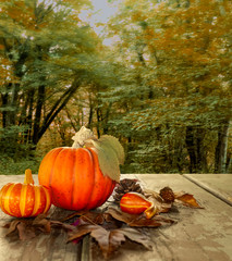 Pumpkins on table will fall background
