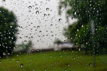 rain drops on the window