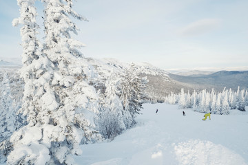 Frozen snow cowered trees, mountains landscape in ski resort, snowboarders and skiers outdoor