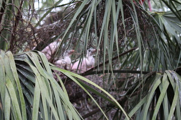 Birds at The Preserve