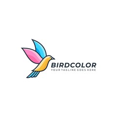 Bird Illustration Vector Template