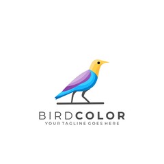 Bird Illustration Vector Template