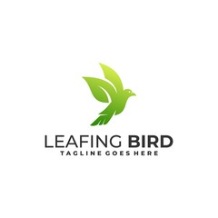 Bird Illustration Vector Template