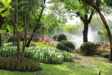 garden with water springer in the morning - obrazy, fototapety, plakaty
