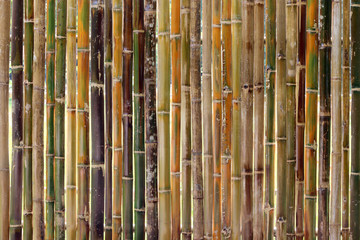 decorative old bamboo wood of fence wall