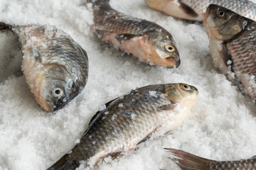Raw fishes on salty background. Healthy eating ingredient