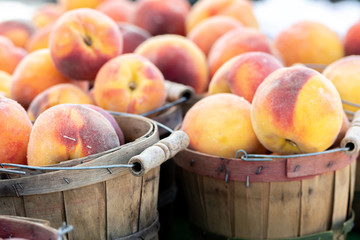 Displays of fresh peaches for sale at a local farmers market
