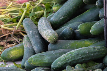 Displays of fresh fruits and vegetables for sale at a local farmers market