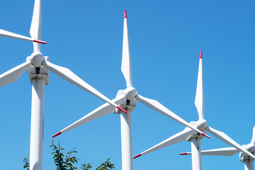 Wind turbine farm power generator on the mountain. 